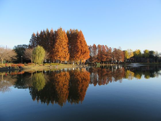 å¬åã®ç´èIMG_0147_560_420