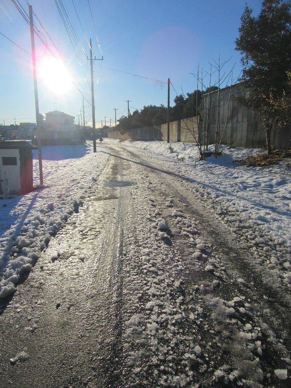 雪 自転車 危ない