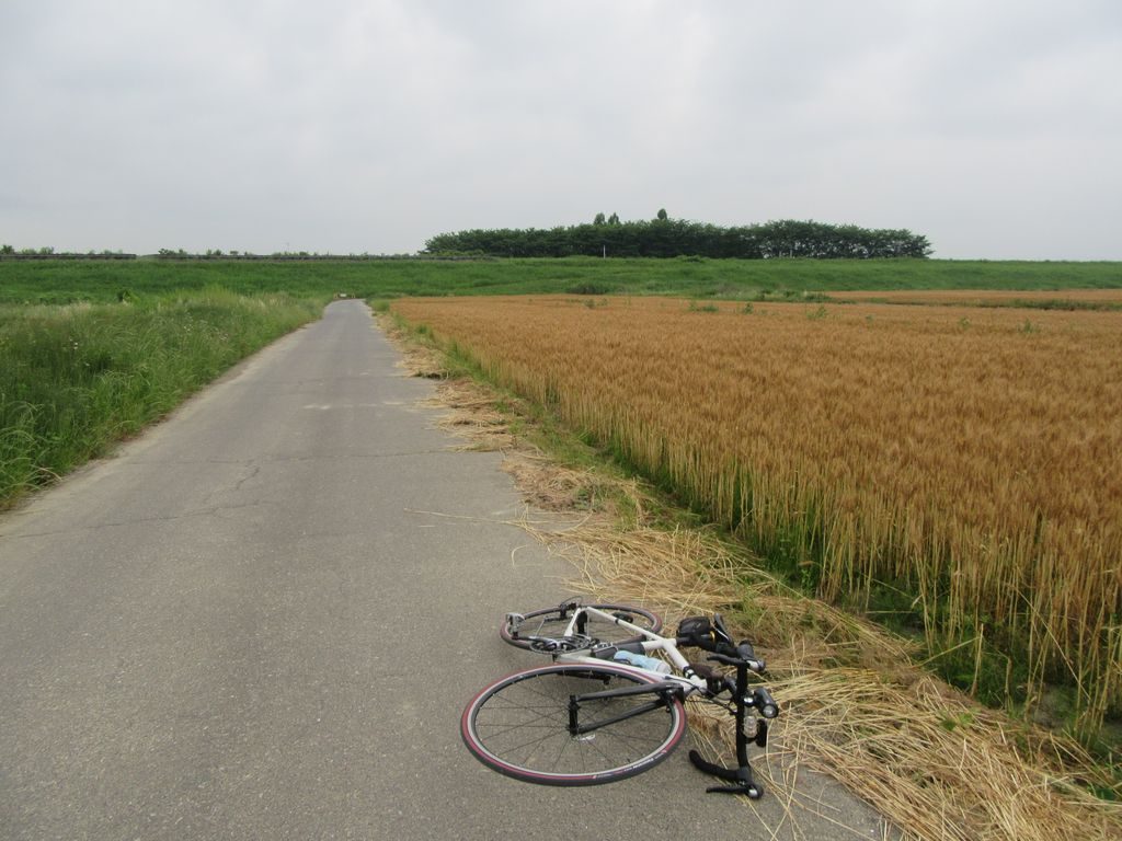 河川敷の農道