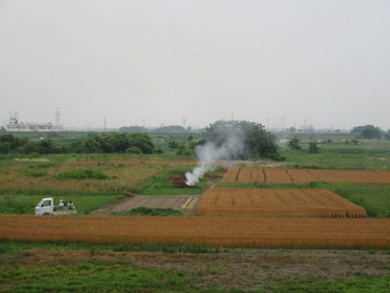 河川敷の農作業