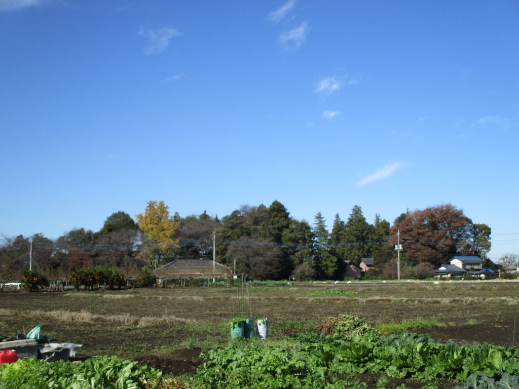 自転車通勤途中の風景