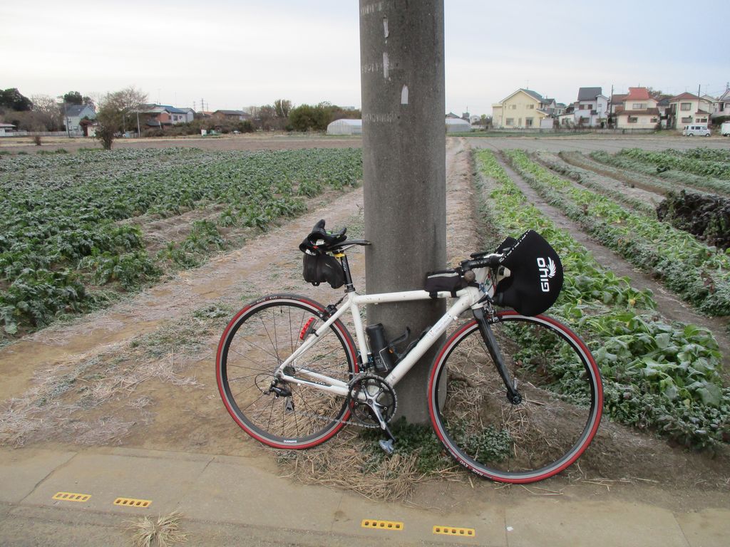 自転車通勤の途中